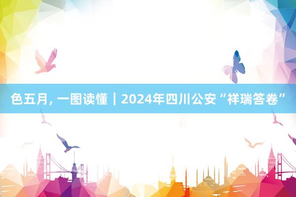 色五月， 一图读懂｜2024年四川公安“祥瑞答卷”