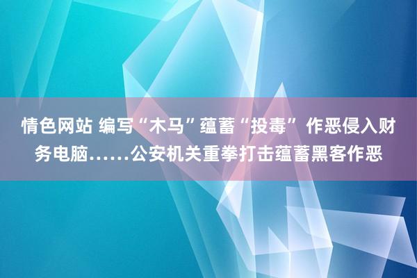 情色网站 编写“木马”蕴蓄“投毒” 作恶侵入财务电脑……公安机关重拳打击蕴蓄黑客作恶