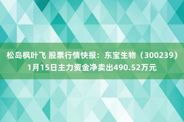 松岛枫叶飞 股票行情快报：东宝生物（300239）1月15日主力资金净卖出490.52万元