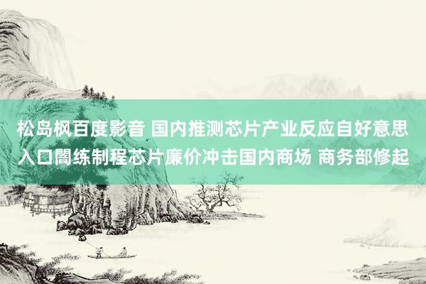 松岛枫百度影音 国内推测芯片产业反应自好意思入口闇练制程芯片廉价冲击国内商场 商务部修起