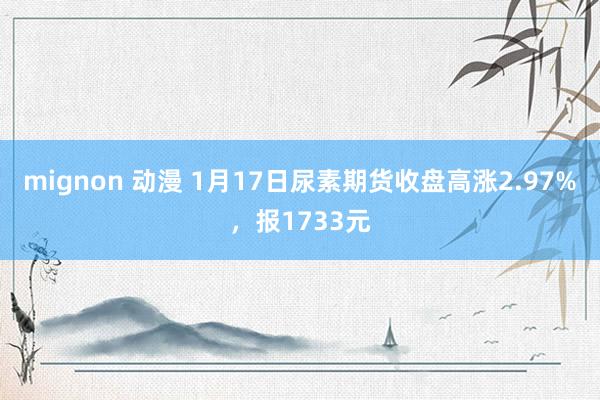 mignon 动漫 1月17日尿素期货收盘高涨2.97%，报1733元