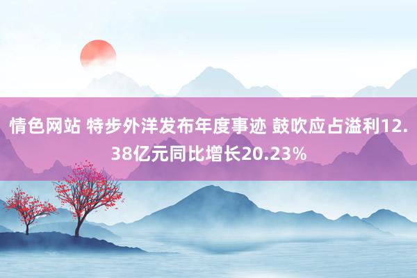 情色网站 特步外洋发布年度事迹 鼓吹应占溢利12.38亿元同比增长20.23%